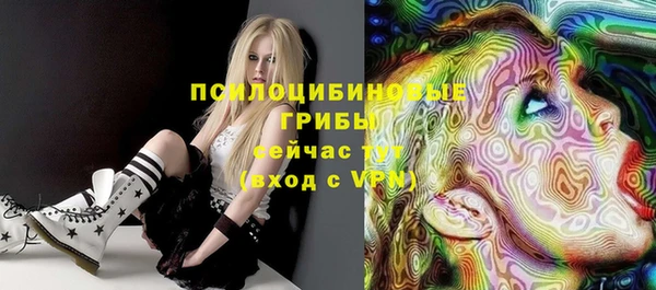 мдпв Абинск