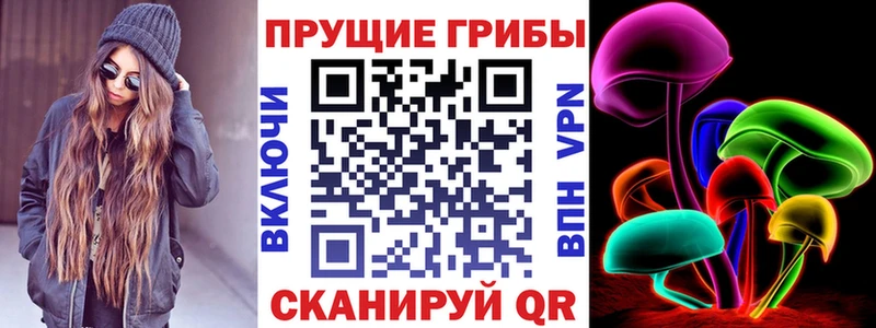 где продают   Пойковский  Псилоцибиновые грибы прущие грибы 